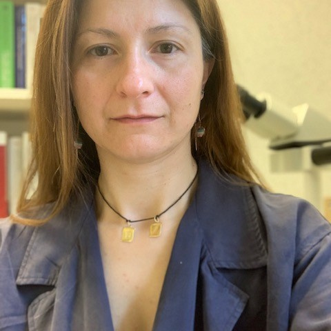 Dr Vasiliki Siozopoulou