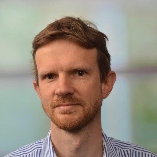 Prof. Dr Koen Van de Vijver